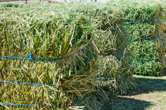 WhatsApp Image 2025-10-06 at 7.32.11 PM